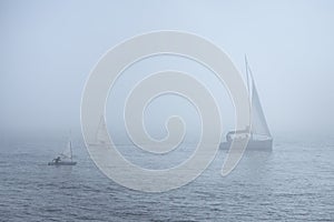 Sailing regatta with several boats.