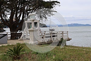 Nature in Angel island in san francisco bay