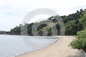 Nature in Angel island in san francisco bay