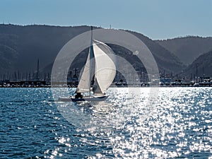 sailing schooners model 470 in the gulf of la spezia