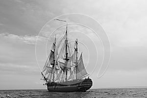 Sailing Ship