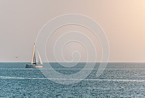 Sailing ship luxury yacht with white sails in the sea in the evening sunlight. Sailboat luxury summer adventure, active