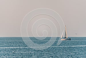 Sailing ship luxury yacht with white sails in the sea in the evening sunlight. Sailboat luxury summer adventure, active