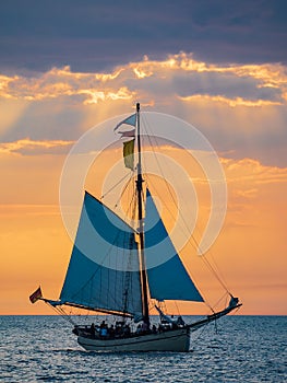 Sailing ship and seagull on the Baltic Sea in Warnemuende, Germany