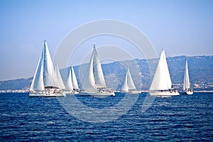 Sailing ship yachts with white sails