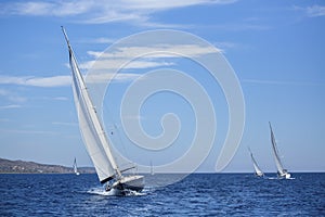 Sailing ship yachts with white sails. Nature.