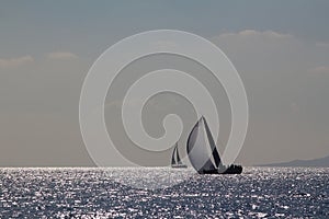 Sailing ship yachts with white sails in race the regatta in the open sea