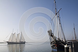 Sailing ships in Enkhuizen