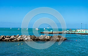 sailing ships in the harbor of livorno, italy