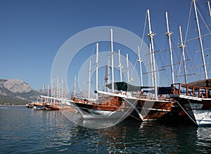 Sailing ships in harbour