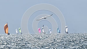 sailing ships many in thermaikos gulf salonica greece photo