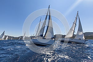 Sailing ships yachts with white sails in the open sea.