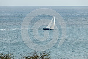 Sailing Sloop in the Caribbean VI