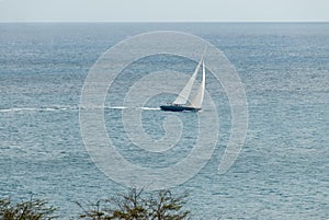 Sailing Sloop in the Caribbean VI photo