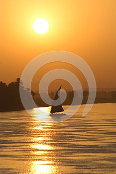 Sailing sunset