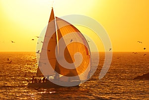 Sailing at Sunset