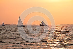 Sailing at sunset on the IJsselmeer in Netherlands photo