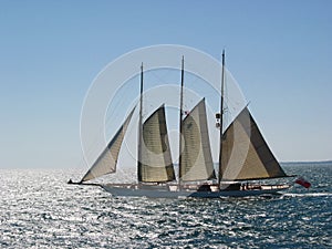 Sailing to the Vineyard