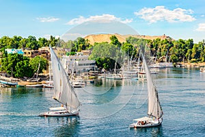 Sailing trip in Aswan
