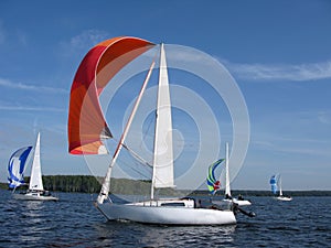 Sailing with white spinnaker