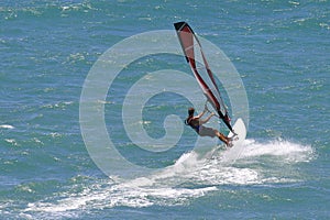 Sailing Windsurfer Windsurfing in Hawaii