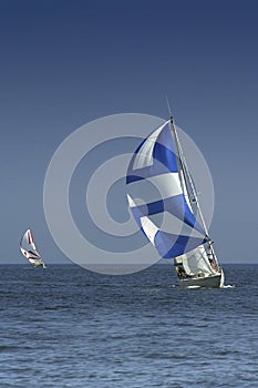 Sailing. The winner and losed