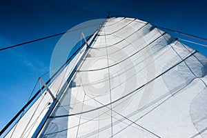 Sailing yacht catamaran sailing in the sea. Sailboat. Sailing.