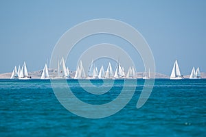 Sailing yacht group regatta race photo