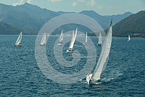 Sailing yacht race. Ships yachts with white sails in the open sea.