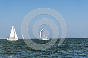 Sailing yachts in the ocean