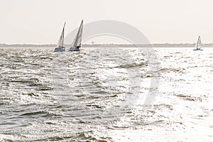 Sailing yachts in the ocean