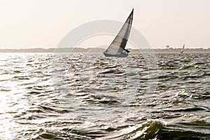 Sailing yachts in the ocean