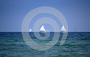 Sailing yachts race