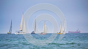 Sailing yachts regatta Varna bay Bulgaria 2014