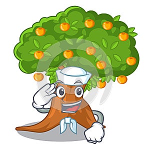 Sailor orange tree isolated with the mascot