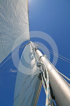 Sails in the blue sky