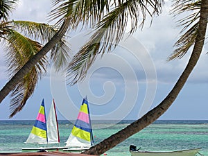 Sails on Caribbean Sea photo