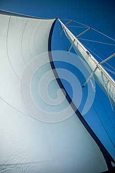 Sails filled with wind against the sky. Wind greatly inflated sails. Bottom view. Clear summer day