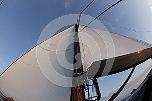 Sails and sky