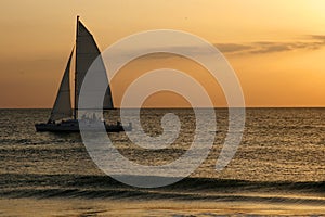 Sails in Sunset photo