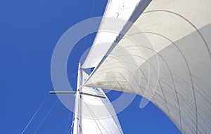 Sails in wind photo