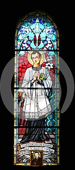 Saint Aloysius Gonzaga