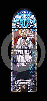 Saint Aloysius Gonzaga photo