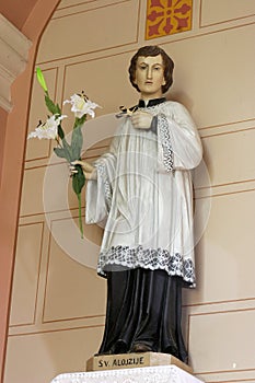 Saint Aloysius Gonzaga photo