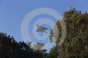 Saint Andrew Andreevsky flag Ensign of the Russian Navy on a flagpole waving the roof of the Admiralty building behind trees