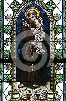 Saint Anthony of Padua