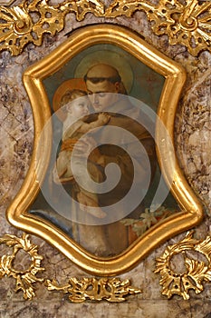 Saint Anthony of Padua photo