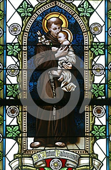 Saint Anthony of Padua photo