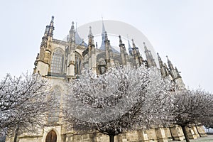 Saint Barbara Church in Kutna Hora, Czech Republic