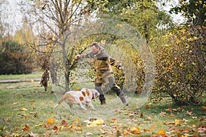 Saint bernard dog with owner in training